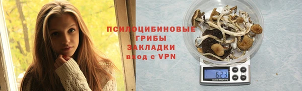 хмурый Алзамай