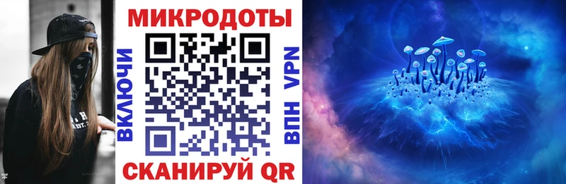 Псилоцибиновые грибы Psilocybine cubensis Волхов